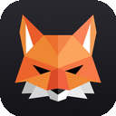 Fox安全VPN